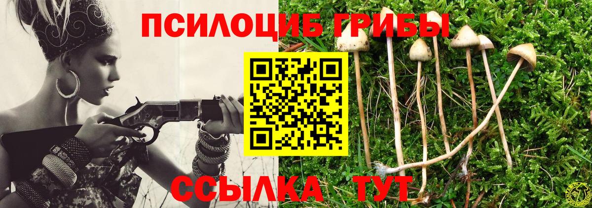 Галлюциногенные грибы прущие грибы Муром