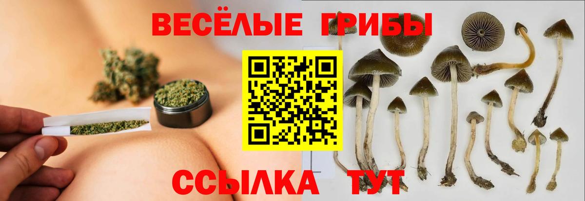 Псилоцибиновые грибы Psilocybe  Галлюциногенные грибы MAGIC MUSHROOMS  Вход с VPN  Муром 