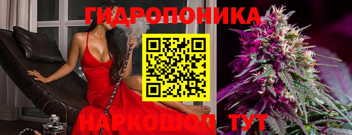 Муром  Марихуана THC 21%  Бошки марихуана план  Бошки Шишки ГИДРОПОН  Вход с VPN 